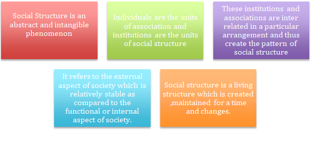 Definition of Social-Structure in Sociology